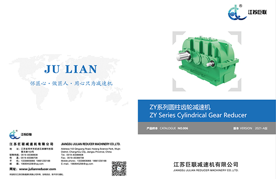 Jiangsu Julian Zy Örnek 2021